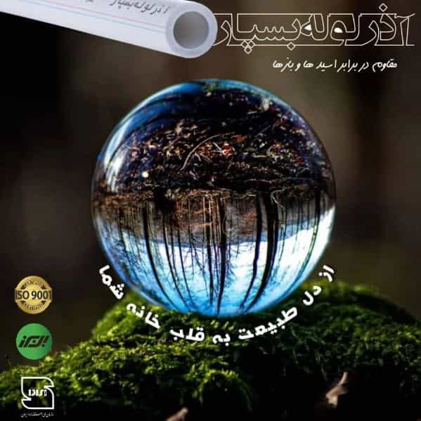 1714626141263.webp