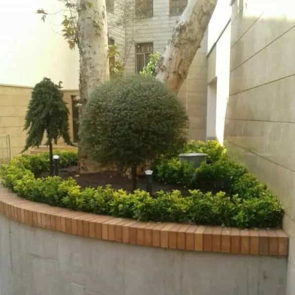 1714629654679.webp