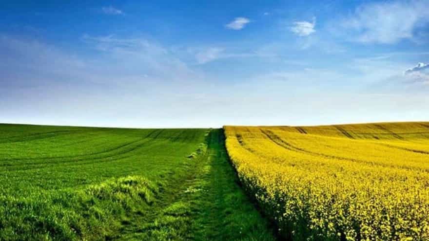 سوغات دختر شمالی در بابل مازندران