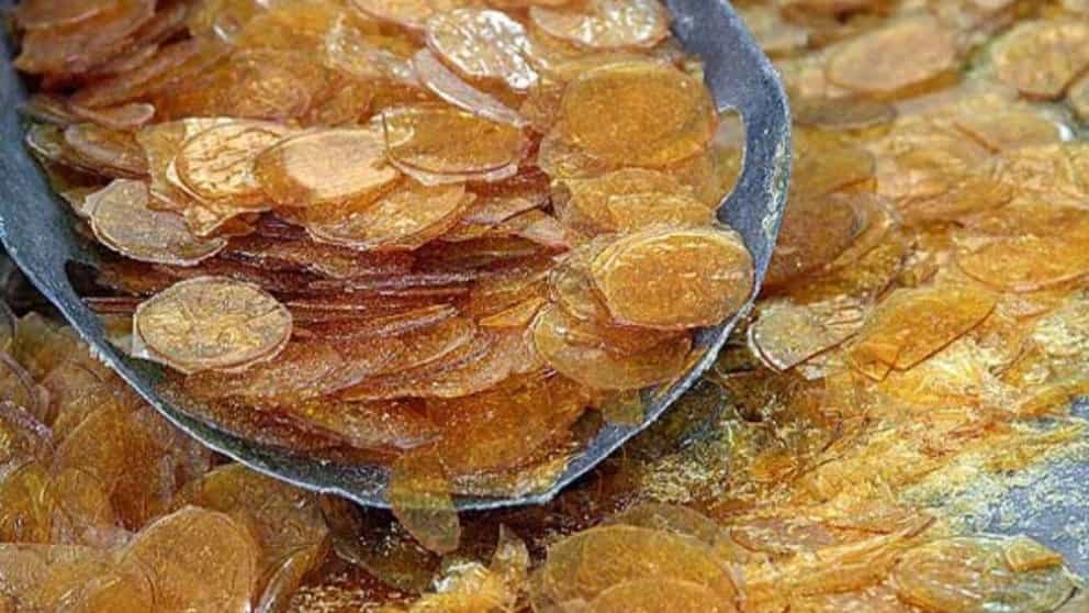 شناخت انواع پولکی و طرز نگهداری آنها