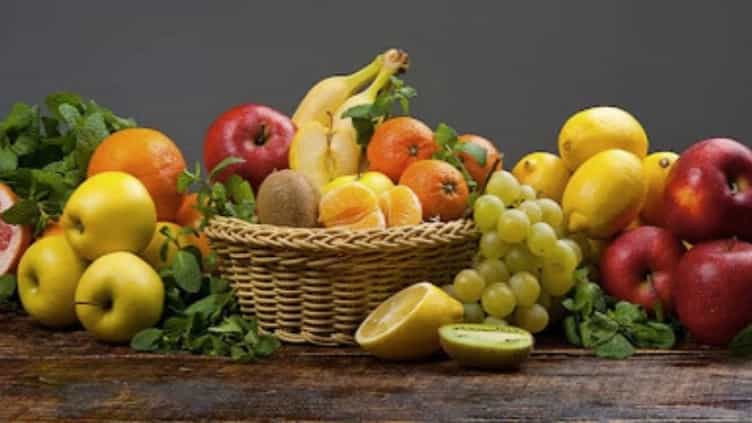 مراحل صادرات میوه