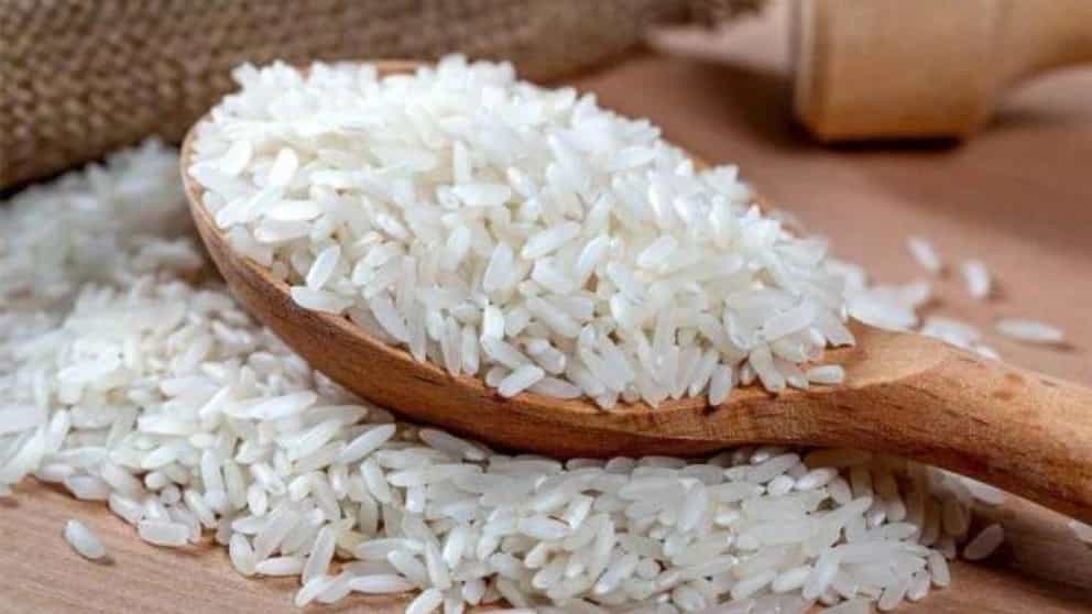 بهترین راهنمای خرید برنج فجر