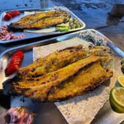 ماهی سرخ کرده