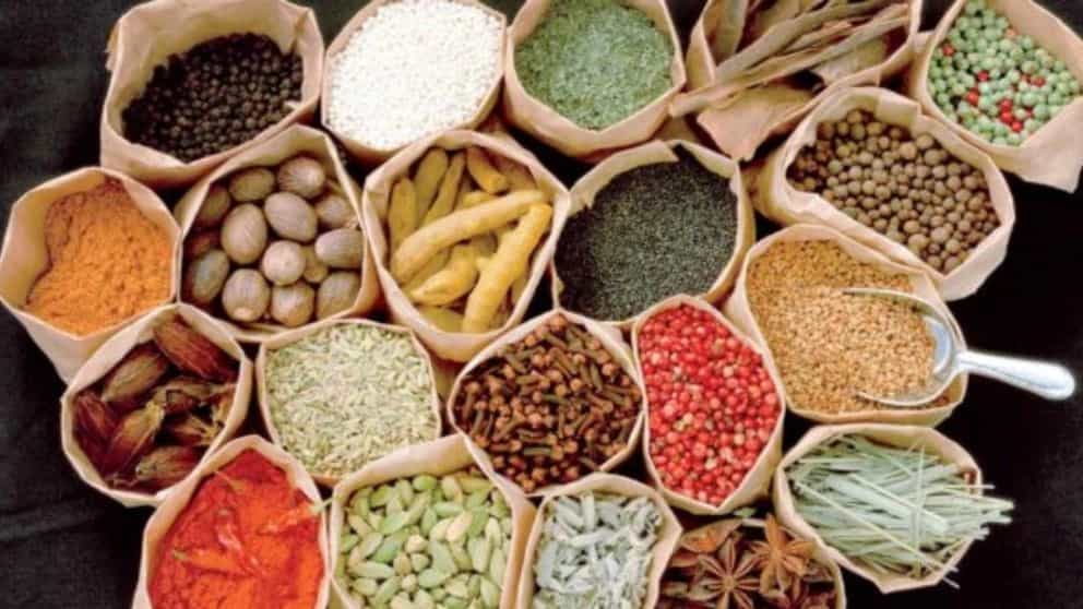 بازرگانی مطهری، فروش عمده و صادرات گیاهان دارویی در گچساران