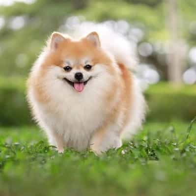 1724136881025.webp