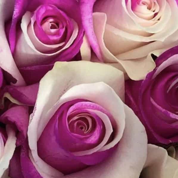 1724308376576.webp