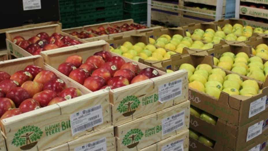 بسته بندی میوه صادراتی