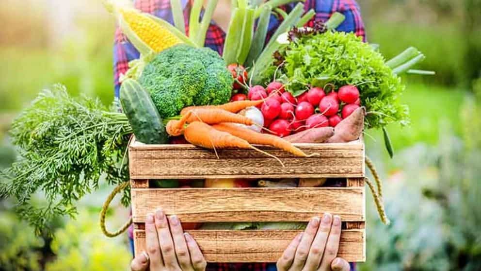 کدام سبزیجات برای لاغری خوب است؟