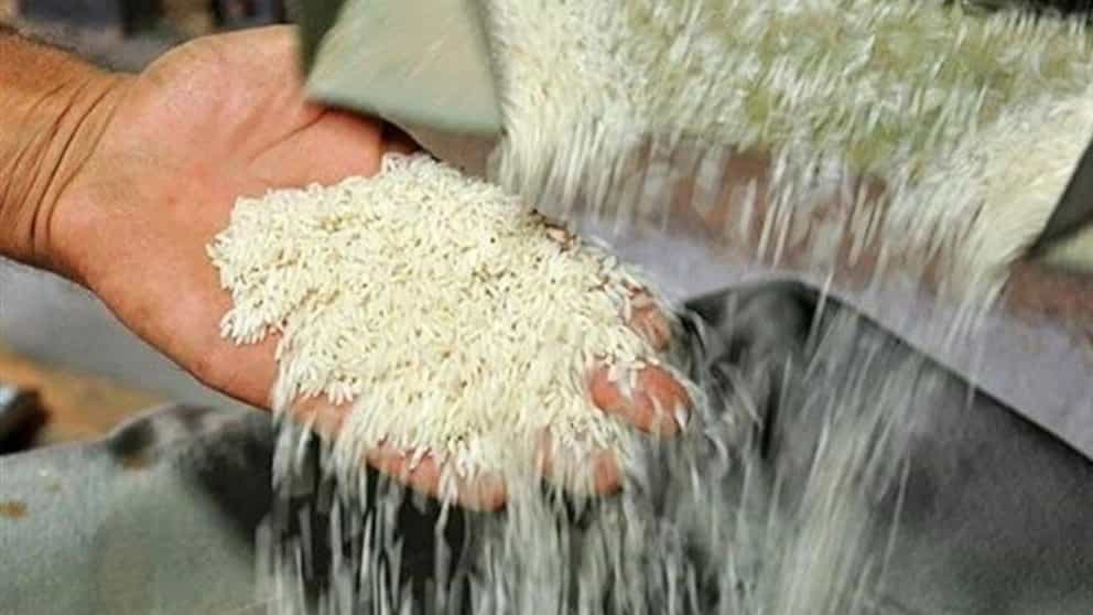 مراحل تبدیل شالی به برنج در شالیکوبی و برنجکوبی