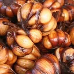 سیر ترشی