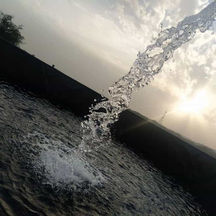 1727259195893.webp