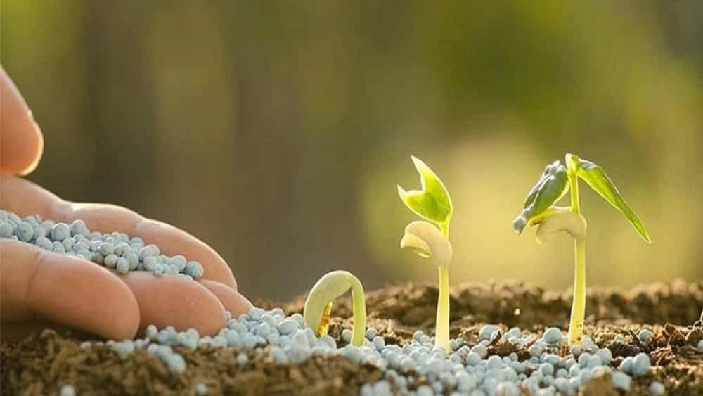 آشنایی با کود اوره