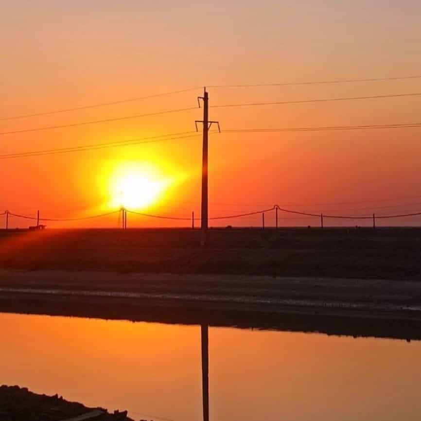 1729406921226.webp