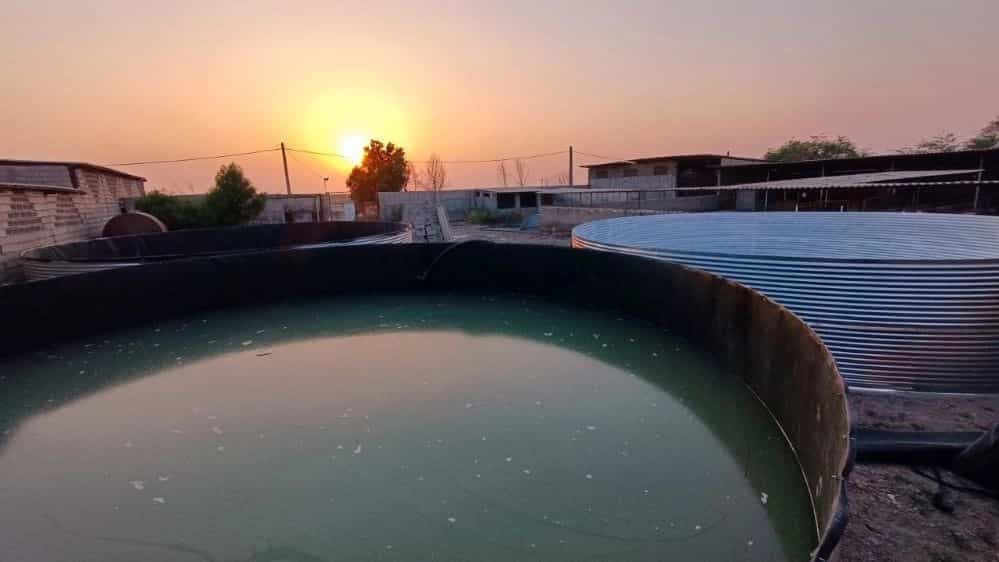 مراحل نصب استخر پرورش ماهی در رشت