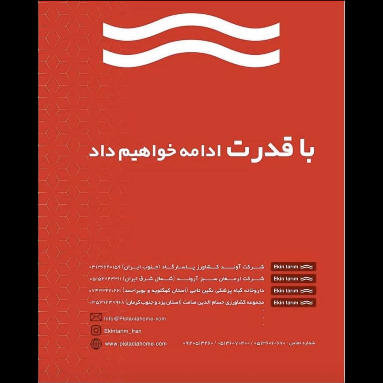 1732094802108.webp
