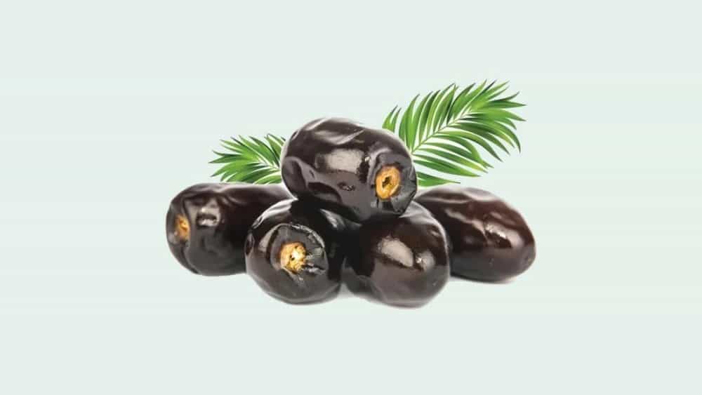 فروش خرده و عمده و فله خرما مضافتی در بم