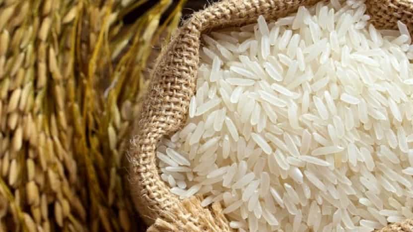 سورتینگ برنج علوی، فروش برنج ایرانی طارم هاشمی در محمودآباد مازندران