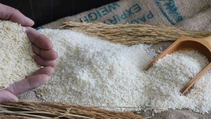 فروش برنج طارم هاشمی اعلا در مازندران