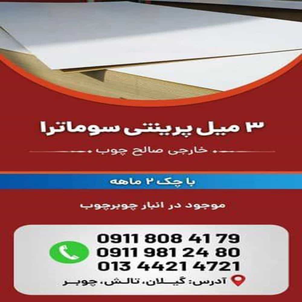 1733640752818.webp