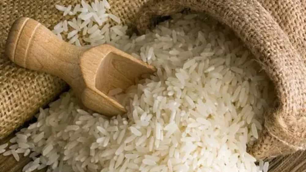 بازرگانی برنج خانی، عرضه کننده برنج دم سیاه کلات در خراسان رضوی