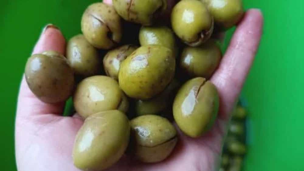 محصولات ارگانیک بینظیر فرجی پور، فروش چای بهاره زیتون ترشیجات در گیلان