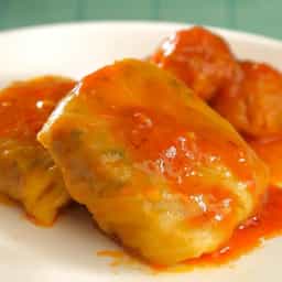 کلم برگ