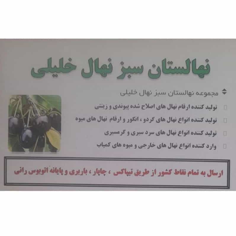 1740391558721.webp
