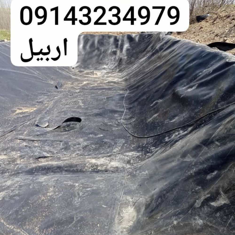 1740474307250.webp