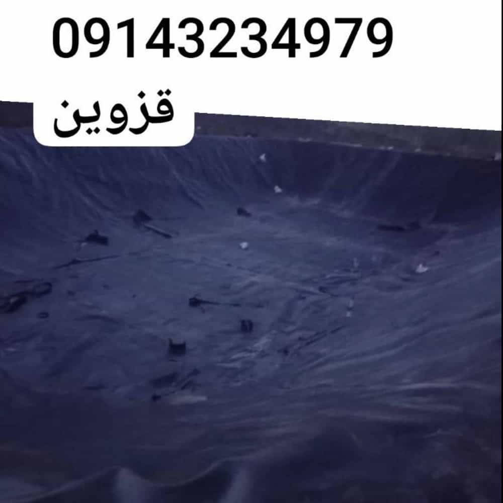 1740474326076.webp