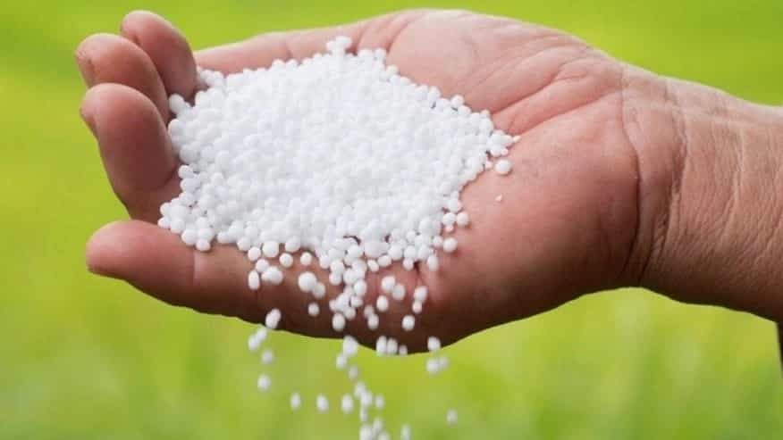 فروش عمده اوره فسفات در رفسنجان کرمان