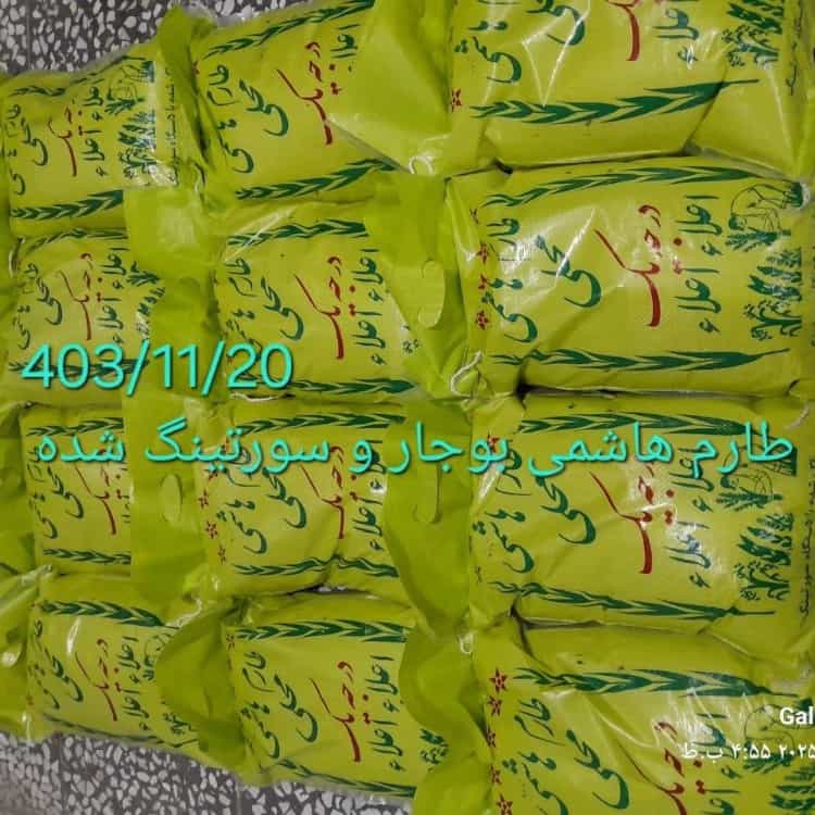 1744434835368.webp