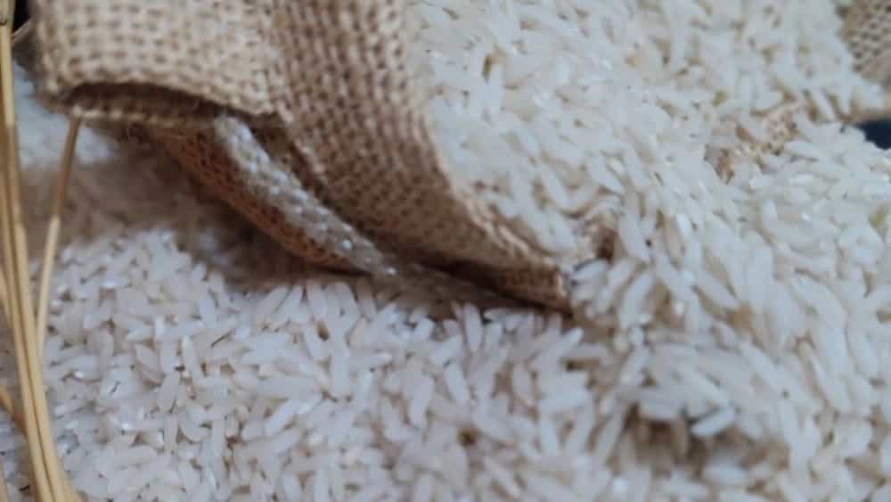 مرکز تخصصی پخش برنج علی کاظمی و ممان میانه در محمدشهر