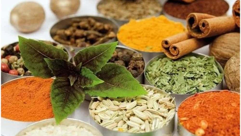 فروش گیاهان دارویی سنتی در مازندران: راهنمای جامع خرید و استفاده