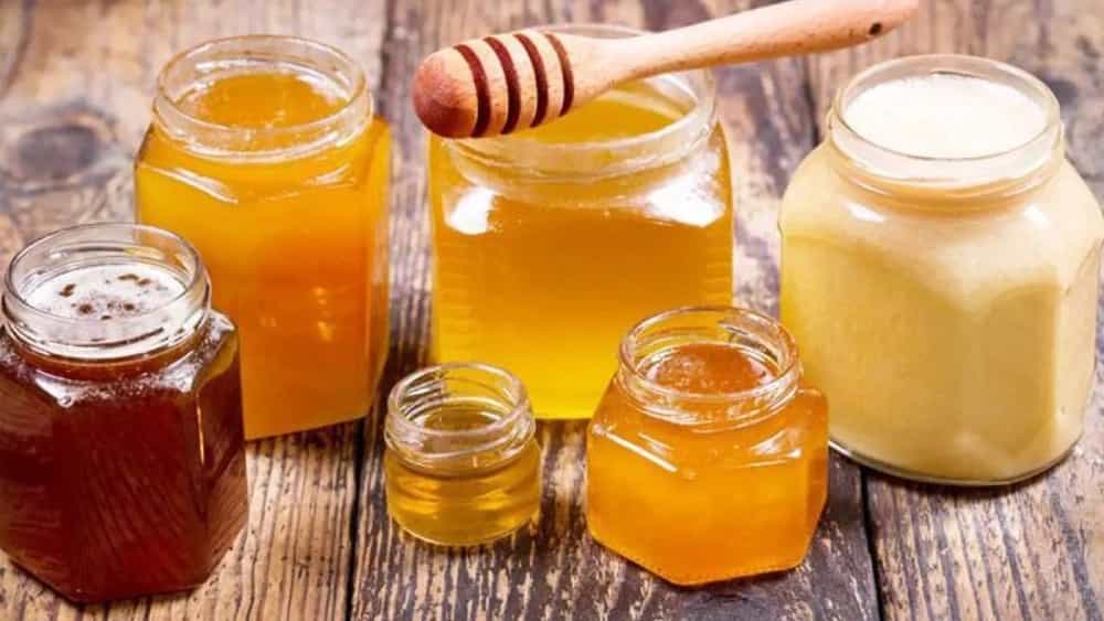 سالم‌ترین عسل شمال غرب کشور از تولیدی خانی در تهران