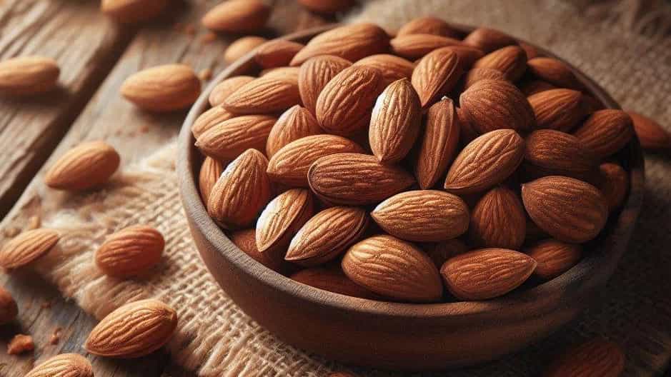 نکات کلیدی در واردات و صادرات مغز بادام درختی ایران