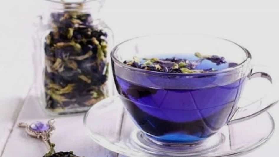 فرآوری گل گاوزبان در گیلان