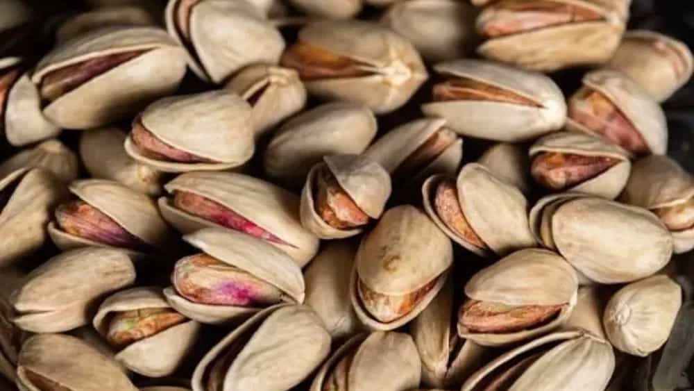صادرات امیران، تولیدکننده انواع پسته در رفسنجان