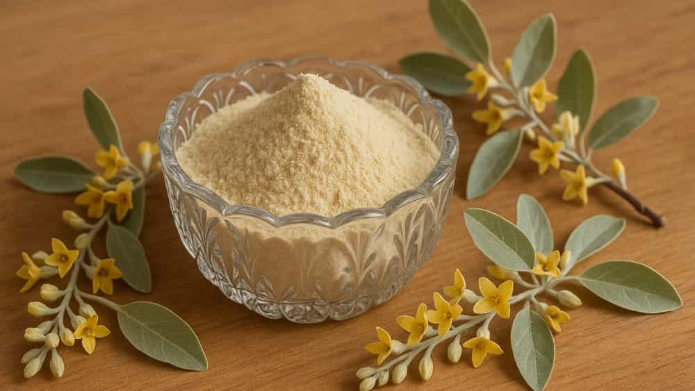 پودر شکوفه سنجد چیست و چه کاربردهایی در طب سنتی دارد؟