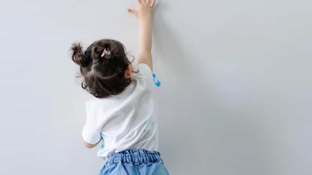 بهترین آتلیه عکاسی و فیلمبرداری مجالس و جشن‌ها در گرگان