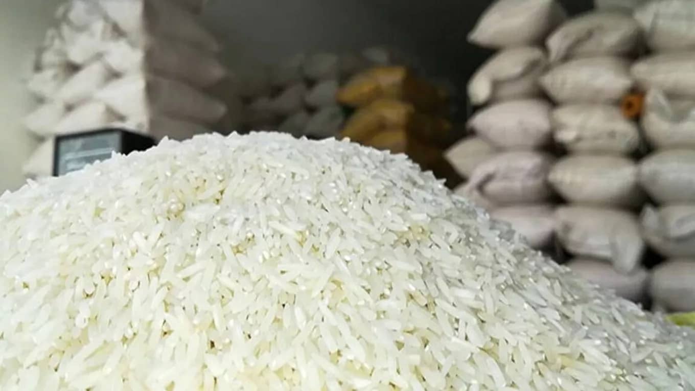 برنج کوبی قائم آل محمد