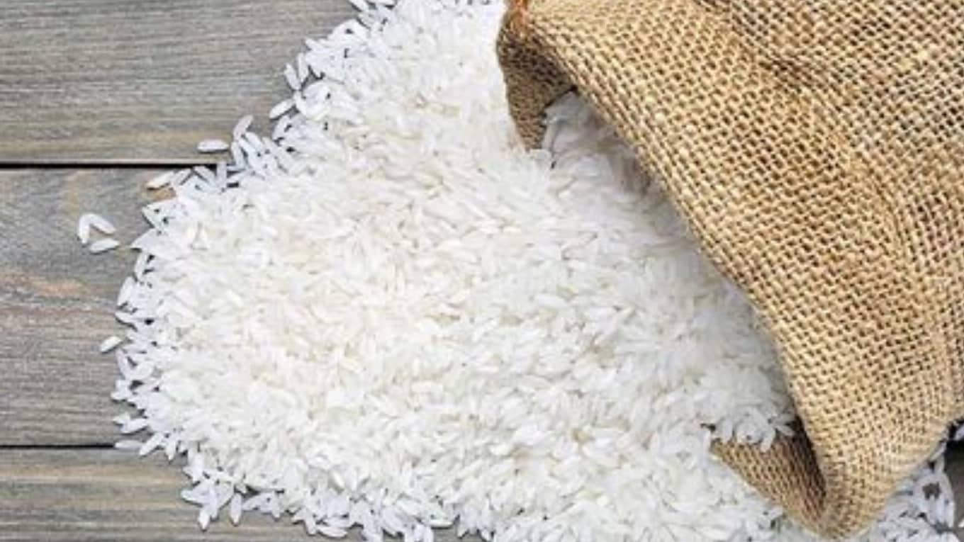 برنج فروشی خزر