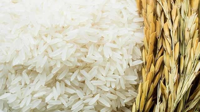 برنج فروشی شمال