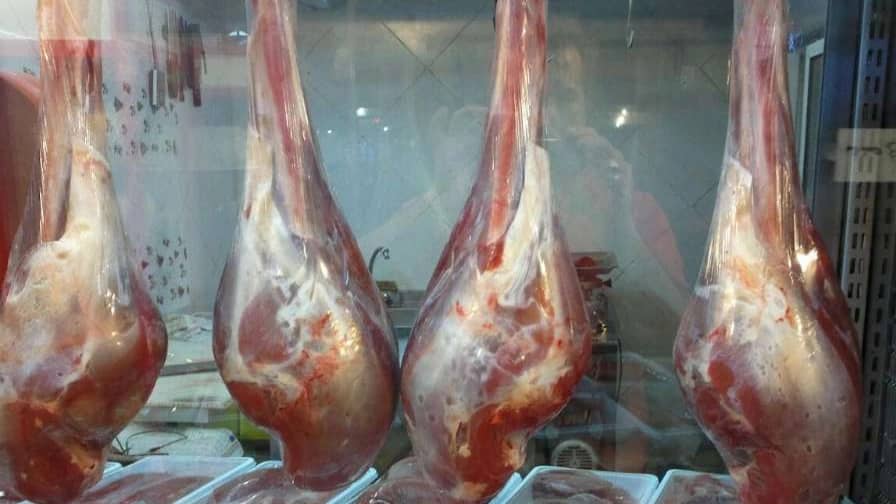 جوجه شتر مرغ و گوشت شترمرغ