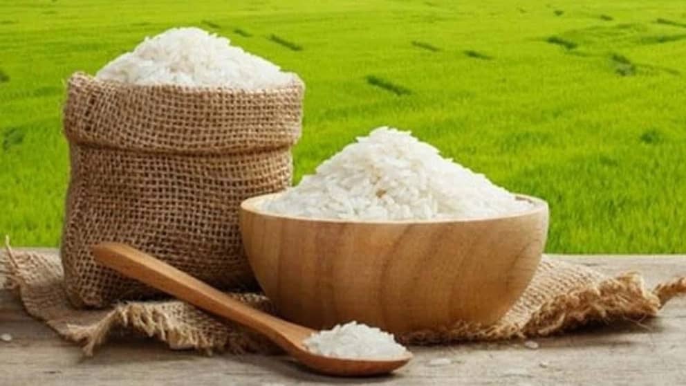 بازرگانی برنج اکبریان