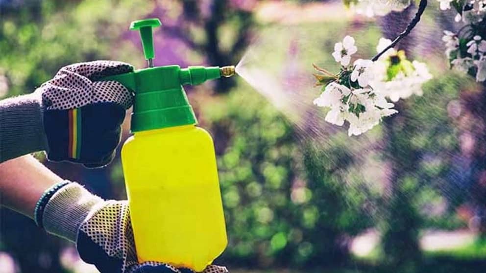 فروشگاه کشاورزی دشت سبز بقایی