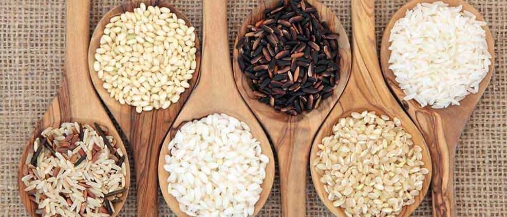 برنج شمال فروش برنج هاشمی طارم