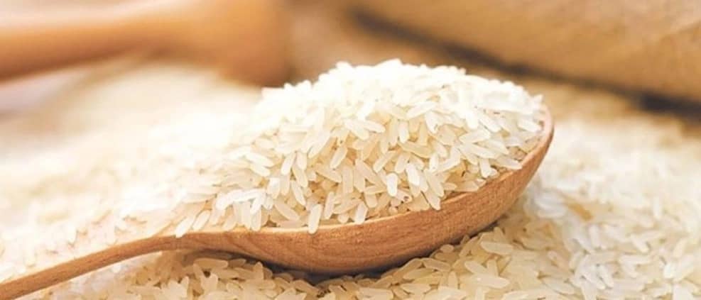 برنج شمال فروش برنج هاشمی طارم