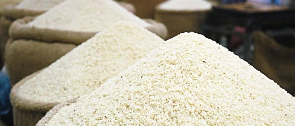 برنج شمال فروش برنج هاشمی طارم