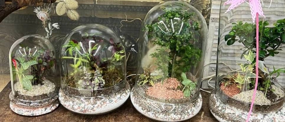 سرای سنتی حصارگل یخ***********
