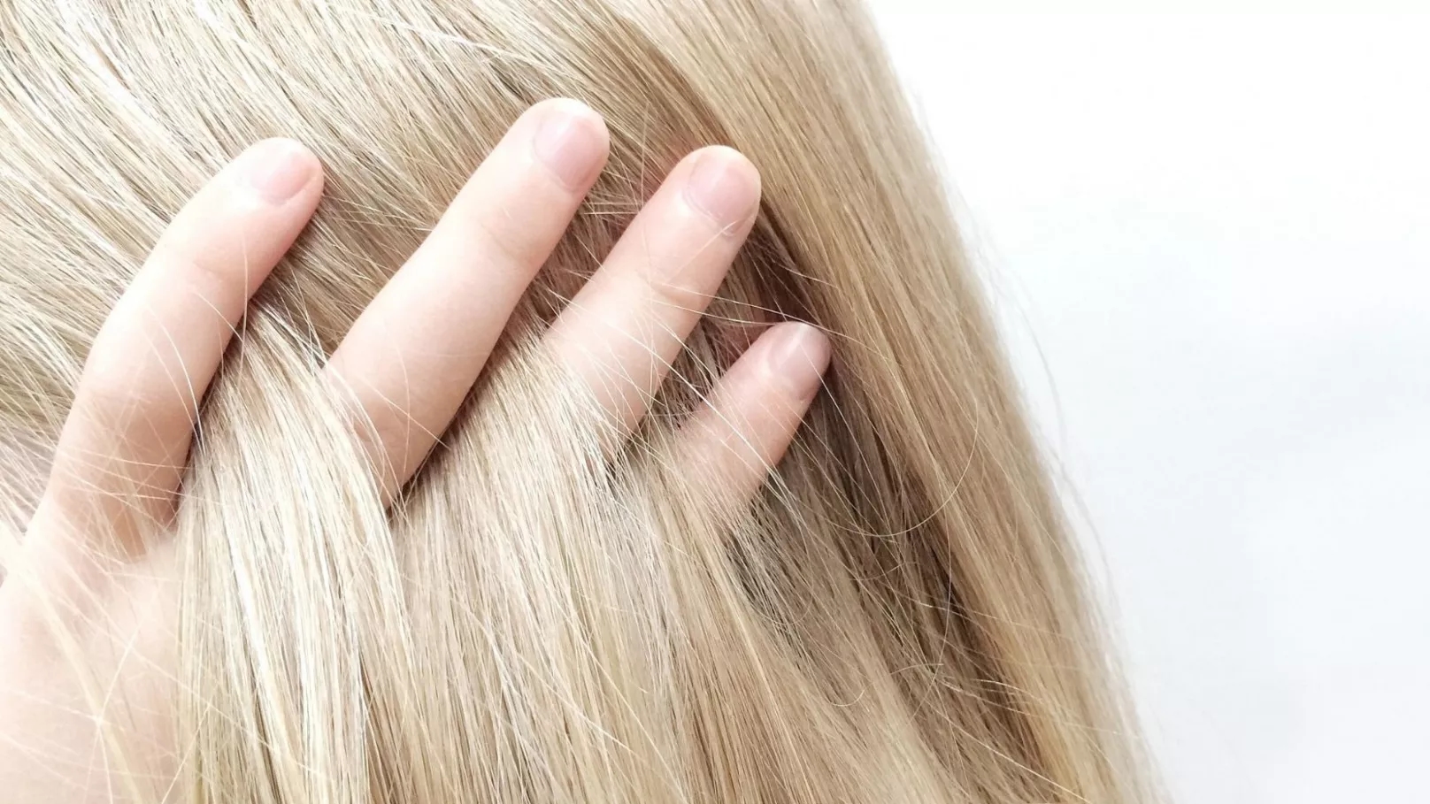 دکو کرم چیست و چه تفاوتی با دکلره دارد؟ دکو کرم چیست و چه تفاوتی با دکلره دارد؟